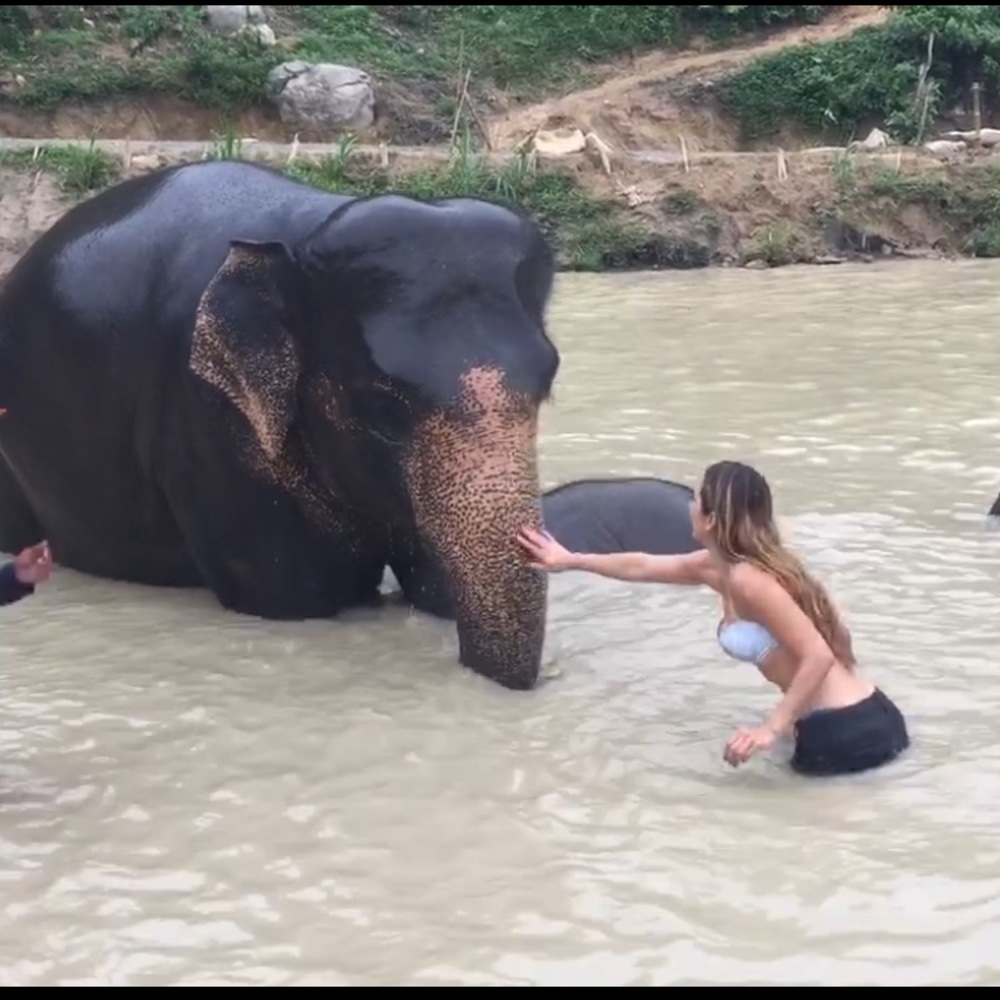 Meet your Posher, Gabby